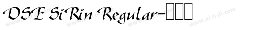 DSE SiRin Regular字体转换